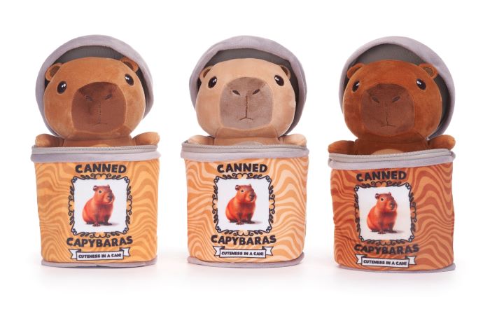 (Mis 3+) CAPIBARA Peluche In Box …x48